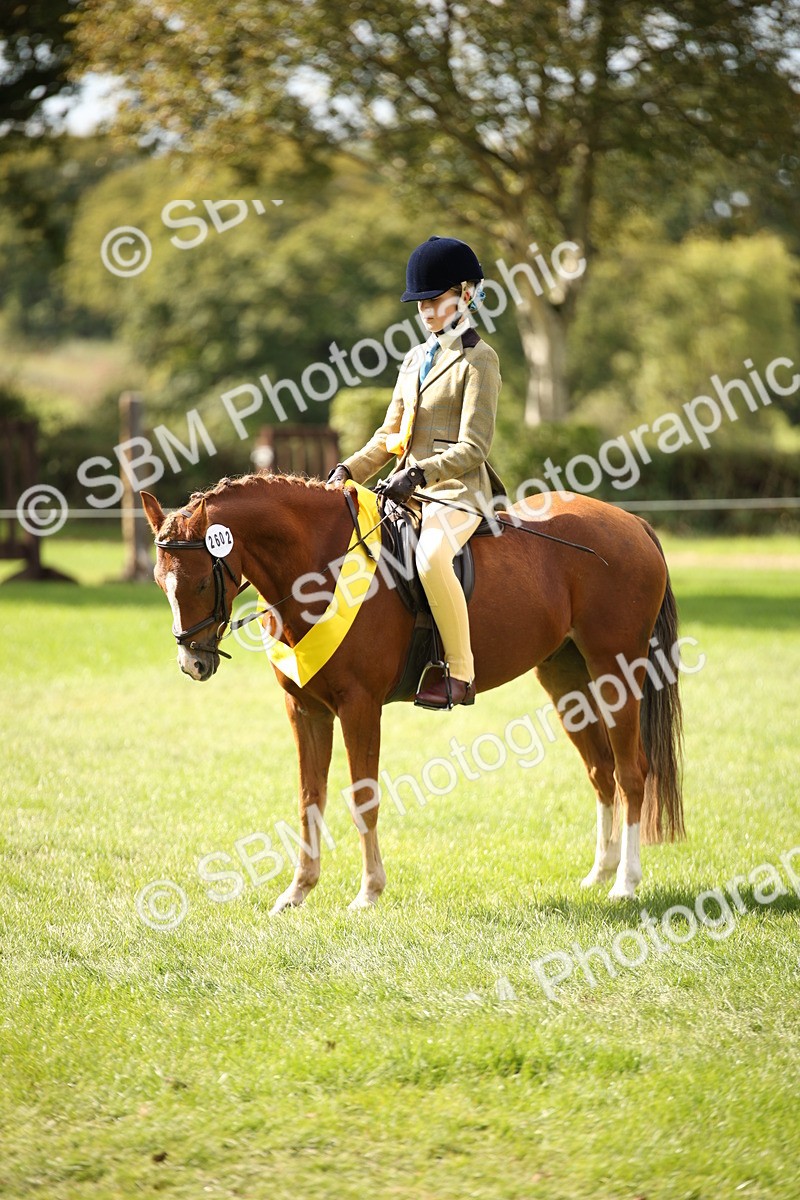 SBM_40919 - Fun Showing Supreme Championship