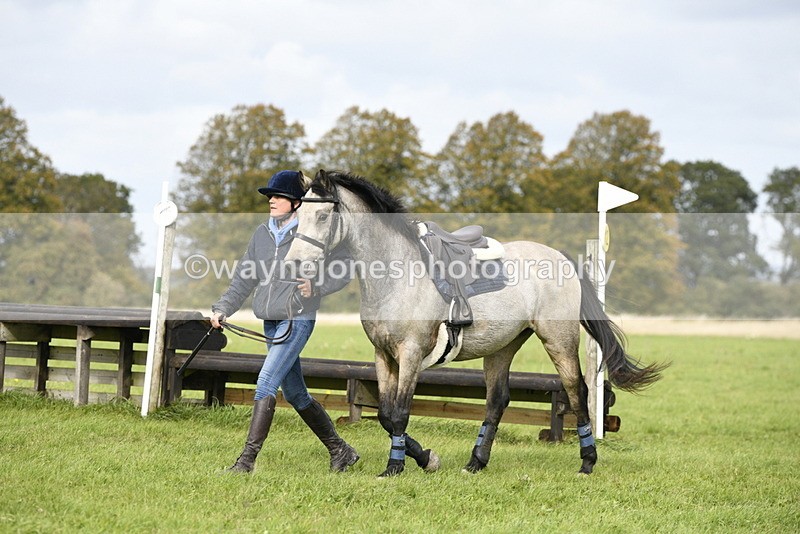 _DSC7852 - Time 12:55 to 13:13