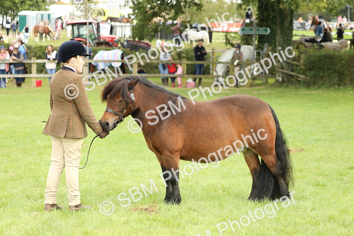 SBM_62789 - S46 - Mountain & Moorland In Hand Small Breeds