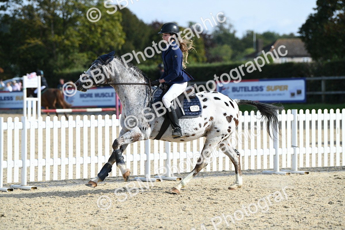 SBM_60739 - j25 - Junior Horse 80cm Championship