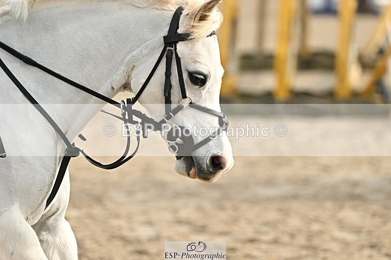 241110-103419-00347 - 40cm Showjumping