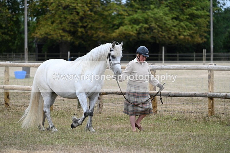 WJ7_8695 - Class 4a Prettiest Mare 14.2hh and over