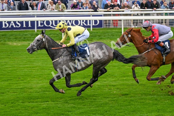 101025-Race 1-Ice Max-6216 - Race 1 William Hill Autumn Mile Handicap at York