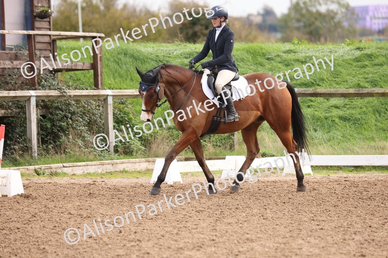 20251021-0487 - Class 5 - Novice 2