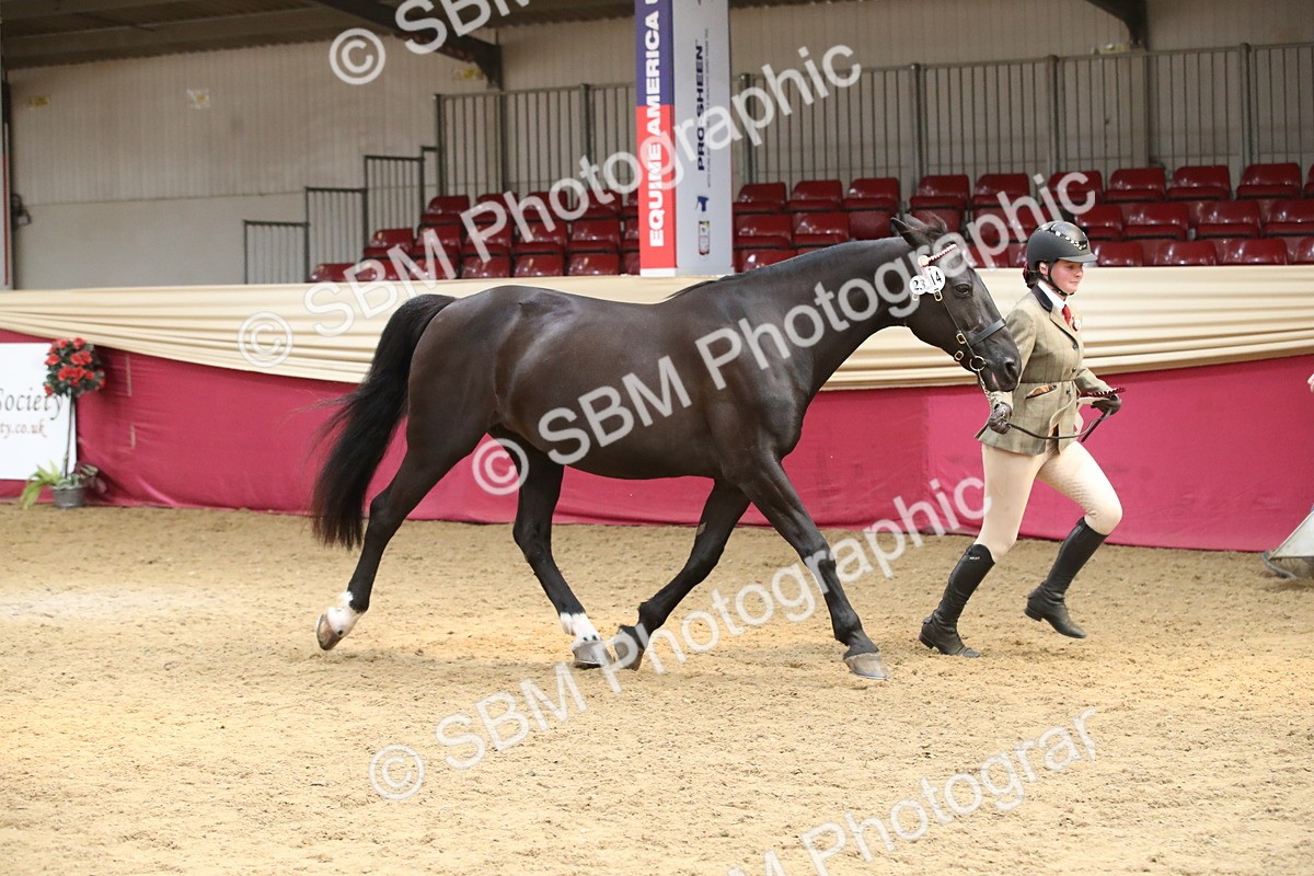 SBM_05452 - Class 8R - Regional IH Veteran