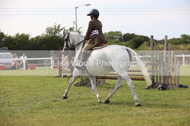 JPP_4247 - Class 25: Working Show Horse