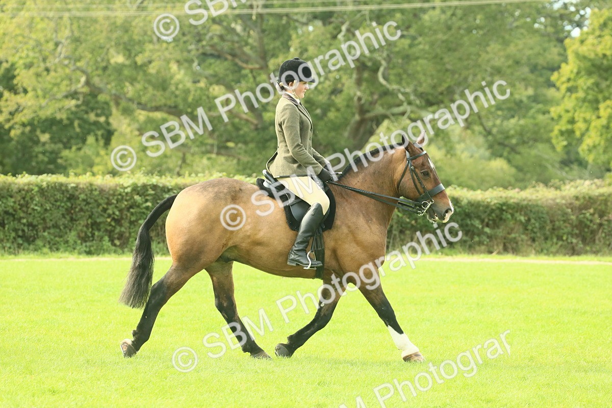 SBM_68212 - S58 - Mini Show Cob Ridden