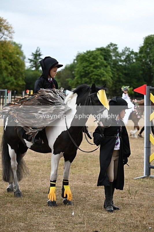 WJ6_8950 - Class 11 Fancy Dress