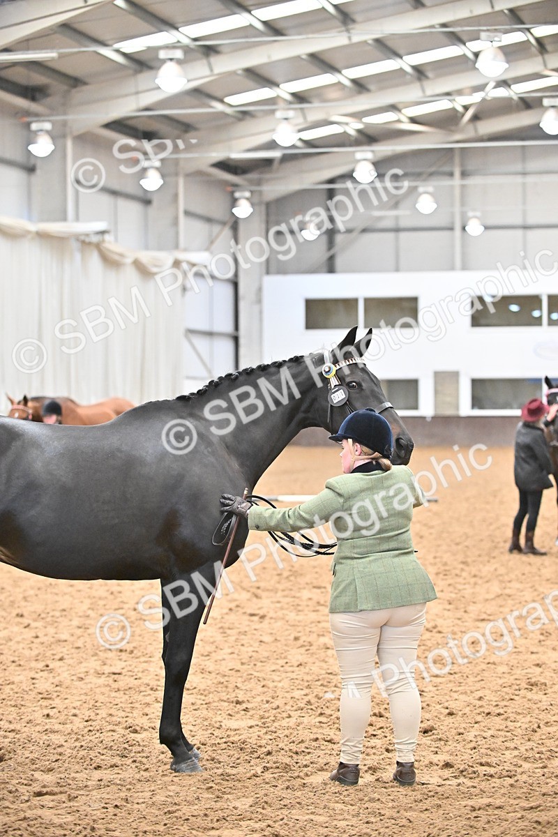 SBM_000239 - Class 7 - ROR Tattersalls In Hand