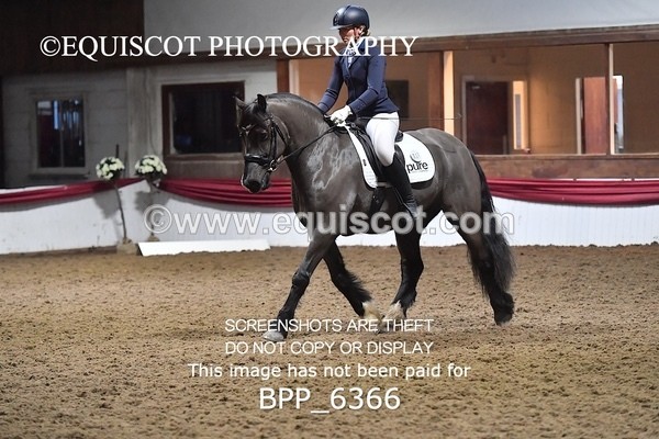 BPP_6366 - 37 Ellis Simister