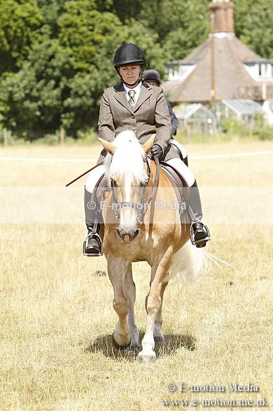 _BS_0702 - BVRC Show 2018 Ring 1