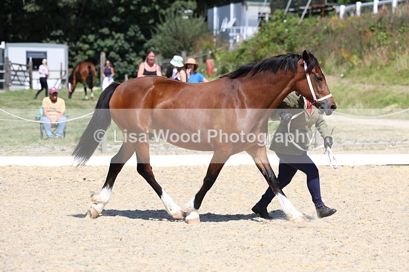 3E7A9550 - Class 32: Best Grass Kept