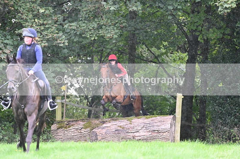 WJ6_1931 - Time 13:31 to 14:00