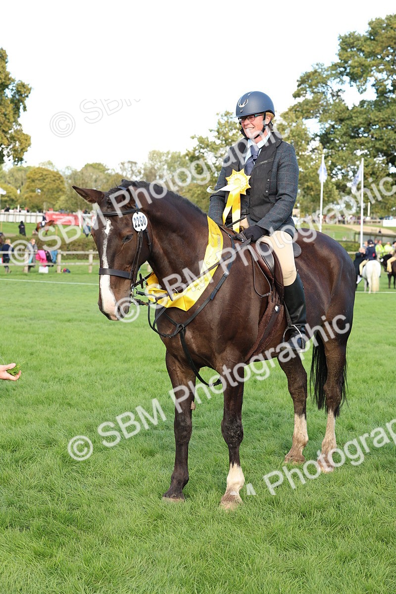 SBM_50195 - S34 - Novice & Newcomers Working Hunter
