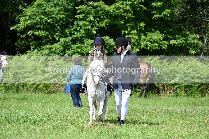 WJ7_1206 - Class 11 Condition & Turnout