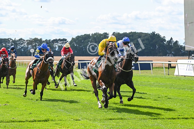 020825-Race 4-Moulin Booj-3124 - Race 4