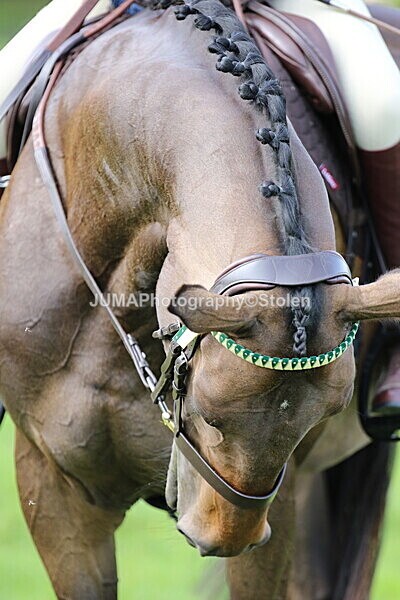 SIAL6722 - Ring 1 & 3