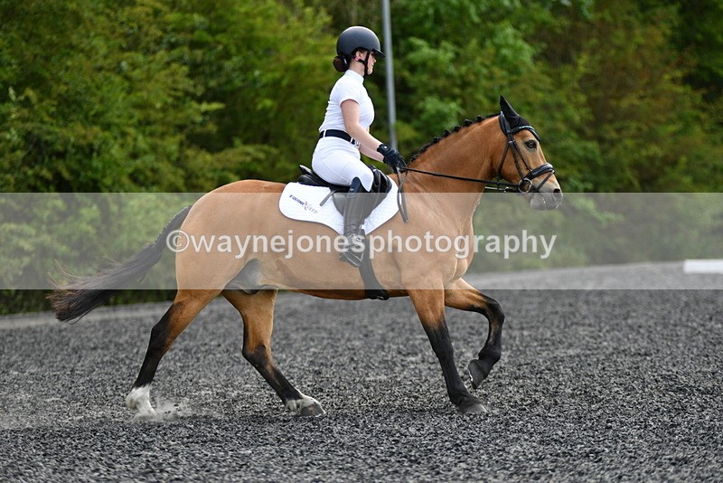 WJ5_1025 - Time 13:45 to 14:20