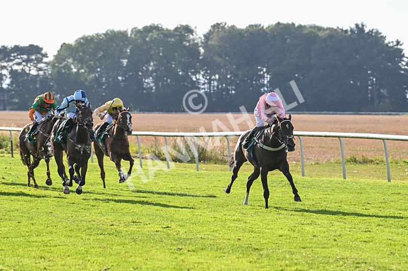 160924-Race 7-Style Of Life-3254 - Race 7