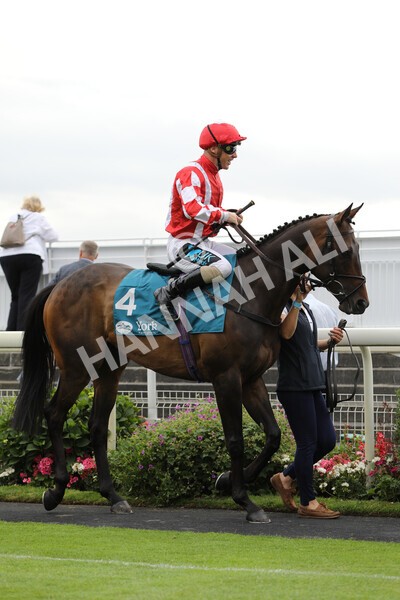 yr23072022r5-11 - Race 5 4.25pm Sky Bet UK's No1 Betting App Stakes