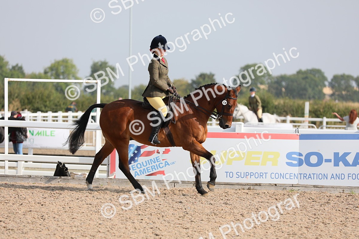 SBM_10915 - Class 304 Ridden Part Bred Horse/Pony