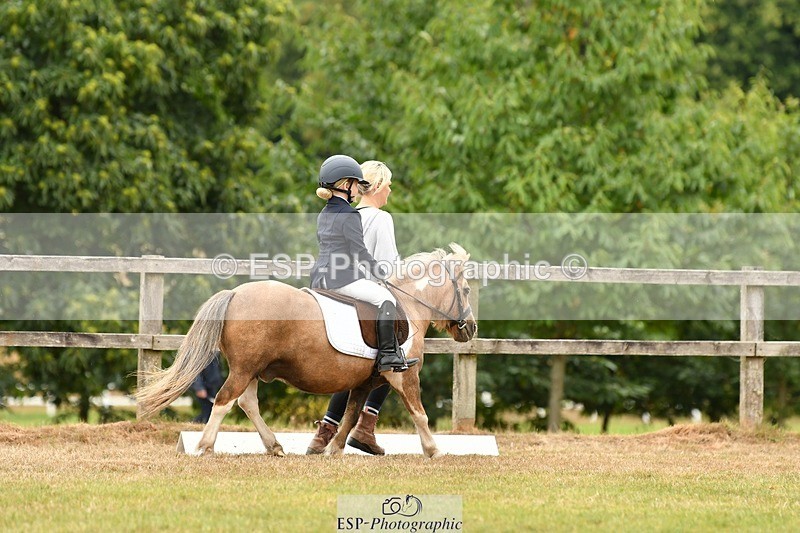 250820A-120030-05400 - 11am to 12