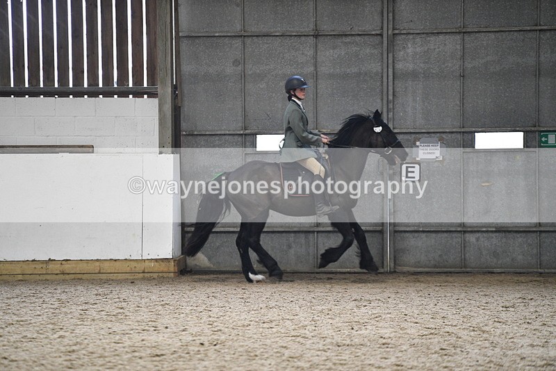 WJ5_7904 - Class 13 Ridden Part Breed
