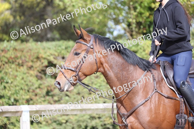 20251005-1121 - Class 7 - 1m