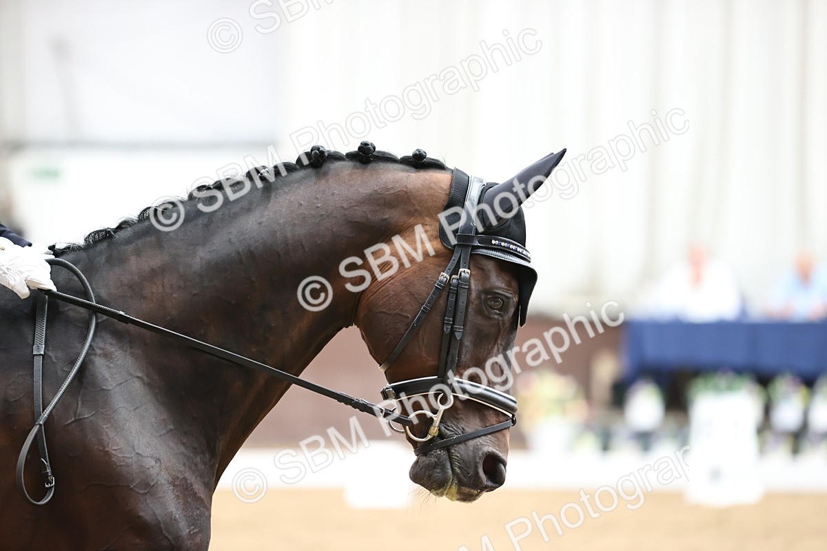 SBM_020463 - Class 27 - Medium PSG FSM Bronze