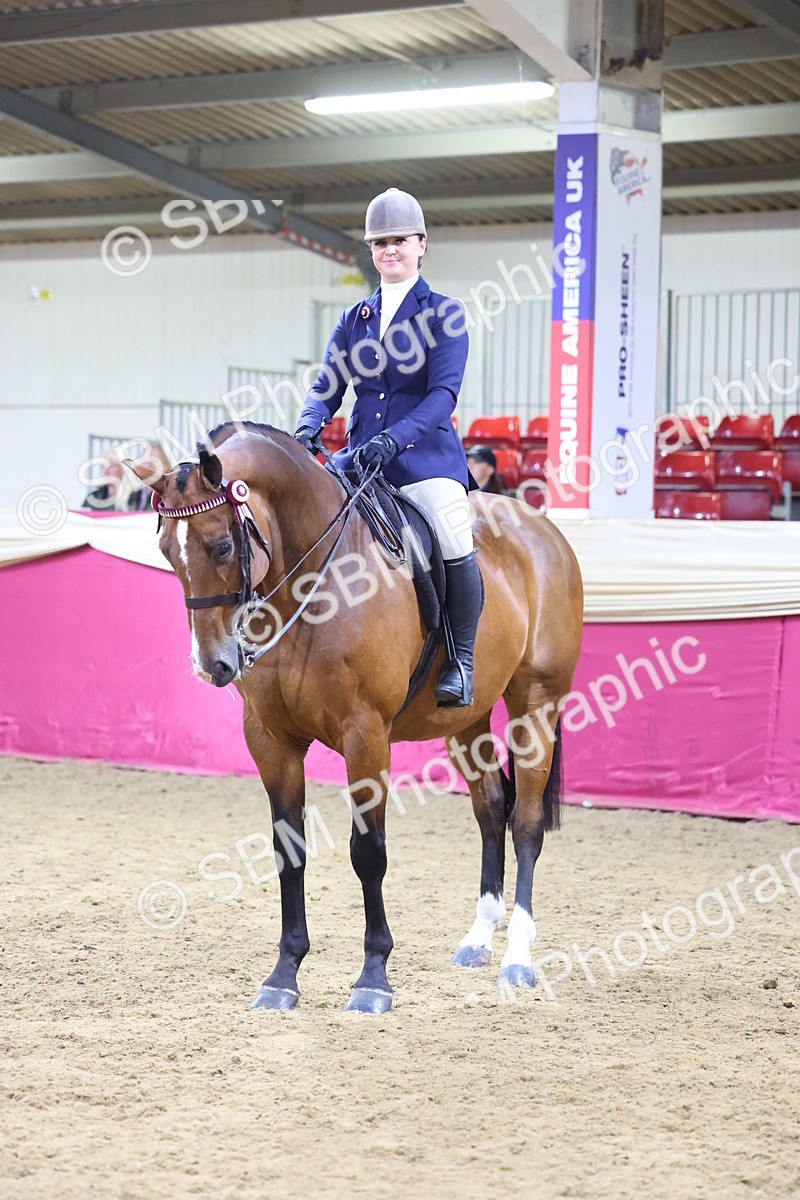 SBM_19167 - Class I Competition/ Riding Club Champ