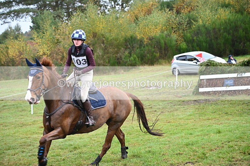 WJ6_1682 - 80cm Cam 1 Time 10:08 to 10:45