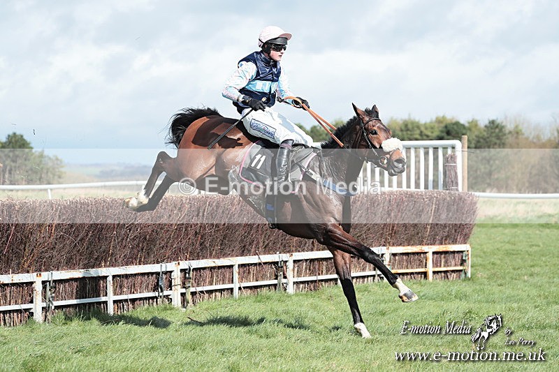 PtP 230324 286 - Tedworth Hunt PtP Larkhill Raccourse 23rd March 2024