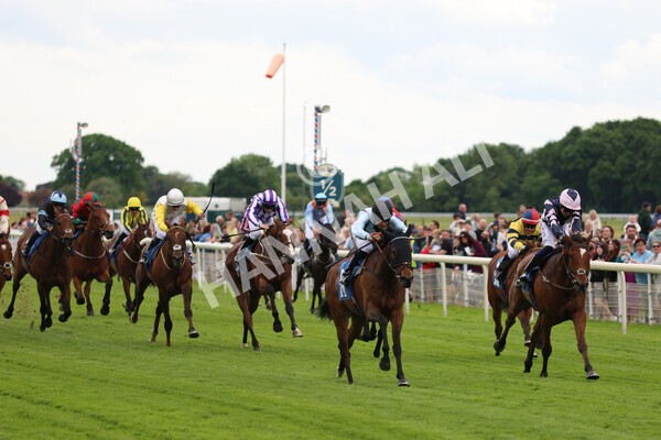 yr22052022r1-24 - Race 1: 3:30pm Sky Bet Sunday Series Apprentice Stakes