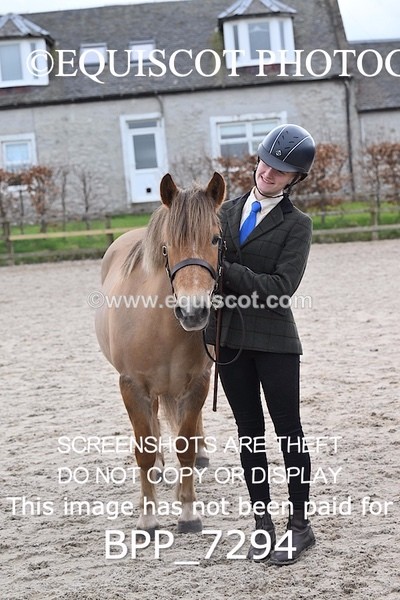 BPP_7294 - RING 1  (RIDDEN HORSES / IN HAND / VETERAN ETC)