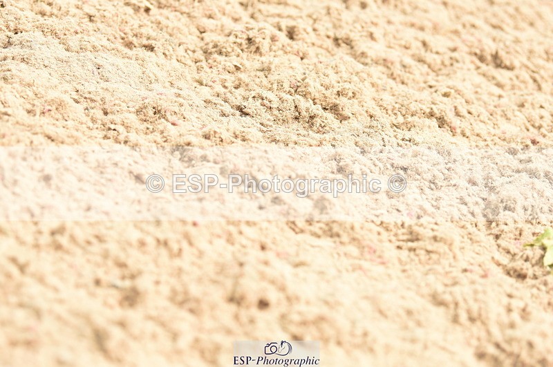 230813A-134446-13270 - Cls 49 Chard Eq 5yr Old Championship