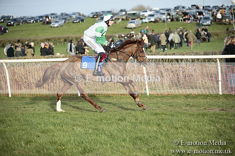 PtP 230319 512 - VWH Hunt Siddington Point-to-Point Racing 23/03/19