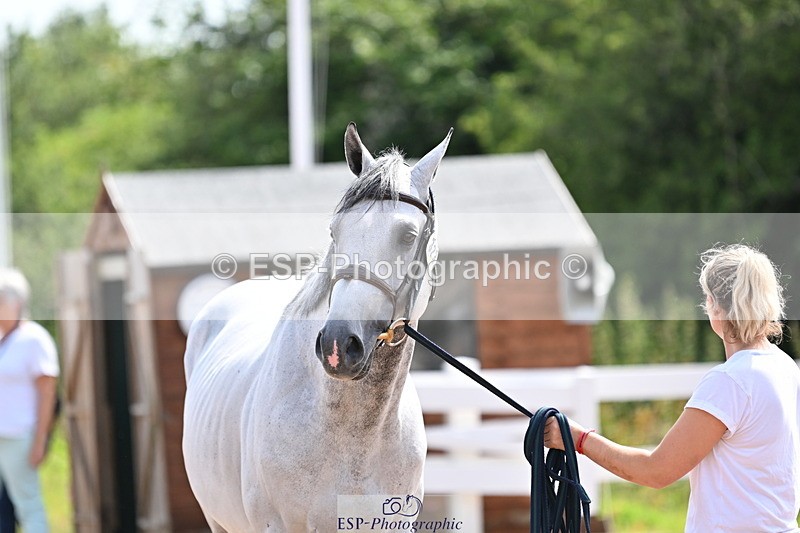 240717A-153047-02859 - Trot Up 3pm to 4pm