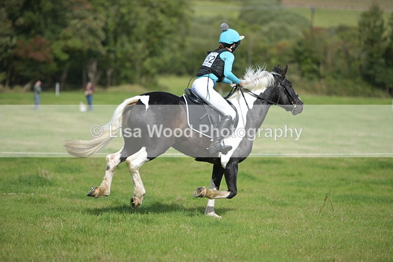 RAY_8652 - Class 2: Trekenning Open: Wall