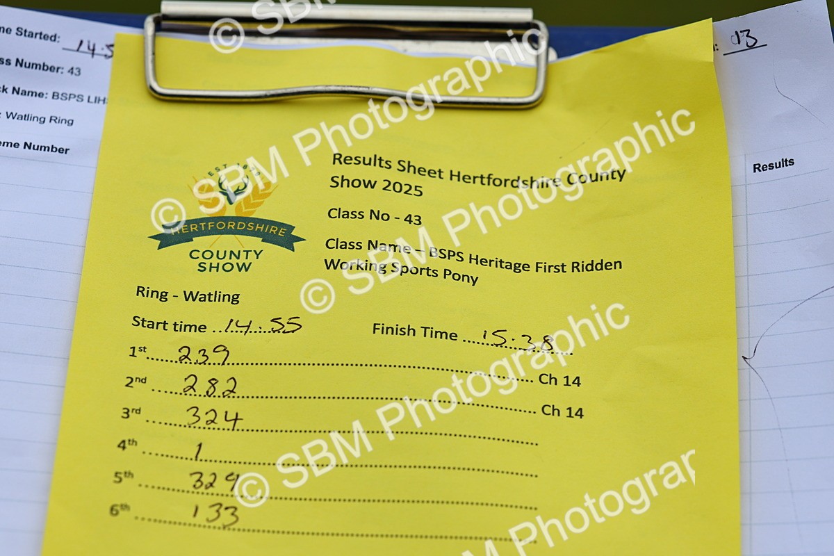 SBM_08872 - Class 42-43 - LIHS BSPS Heritage Working Sports Pony