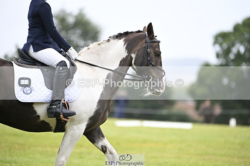 240824X-102122-21637 - D70 Section A and B 9.30 to 10.40