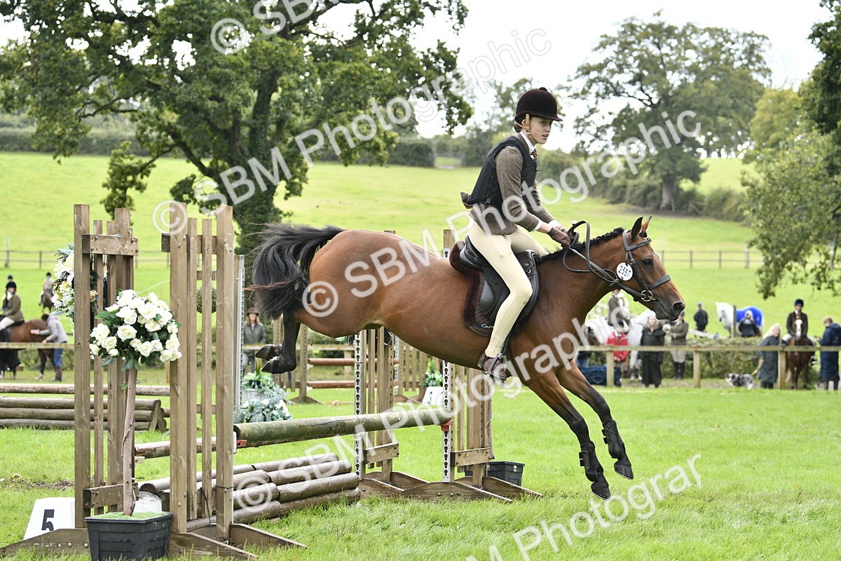 SBM_45612 - S33 - Working Hunter Pony