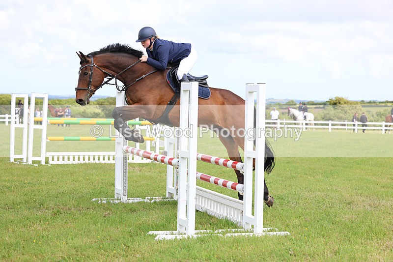 3E7A7552 - Class 13: Senior British Novice/90cm open