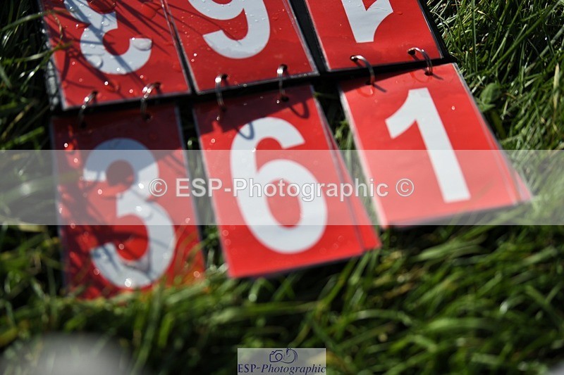 231022-153222-29159 - 361-ELLIES.CANDY.GIRL-Carolyne.Ryan-Bell-XC