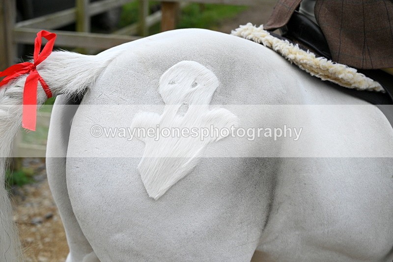 WJ7_5834 - Berks & Bucks - Children's Meet - The Old Farmhouse – Steventon.