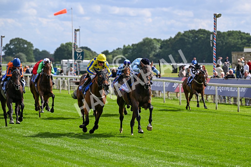 120626-Race 5-Antipodes-7816 - Race 5 16.10pm Sky Bet The World's Gone Football Handicap