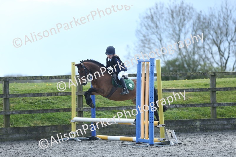 20260412-1786 - Show Jumping