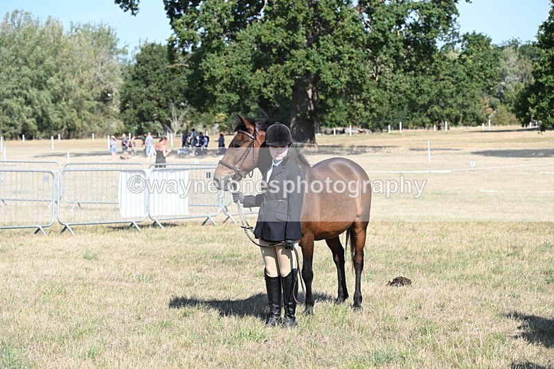 WJ6_7603 - Class 34 Judges Choice