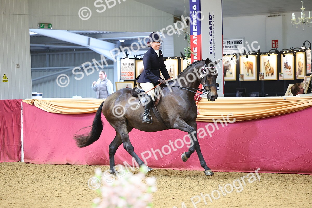 SBM_23505 - Class 904 - Supreme Final Ridden Diamond