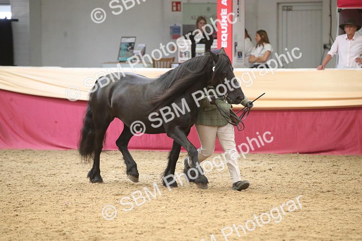 SBM_05656 - Class 9R - Regional IH Pre-Vet