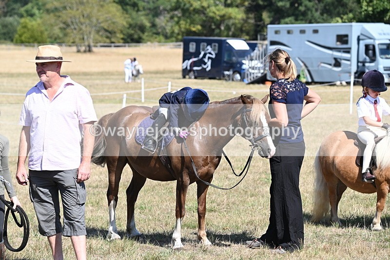 WJ6_9350 - Class 40 Cheekiest Pony/Horse